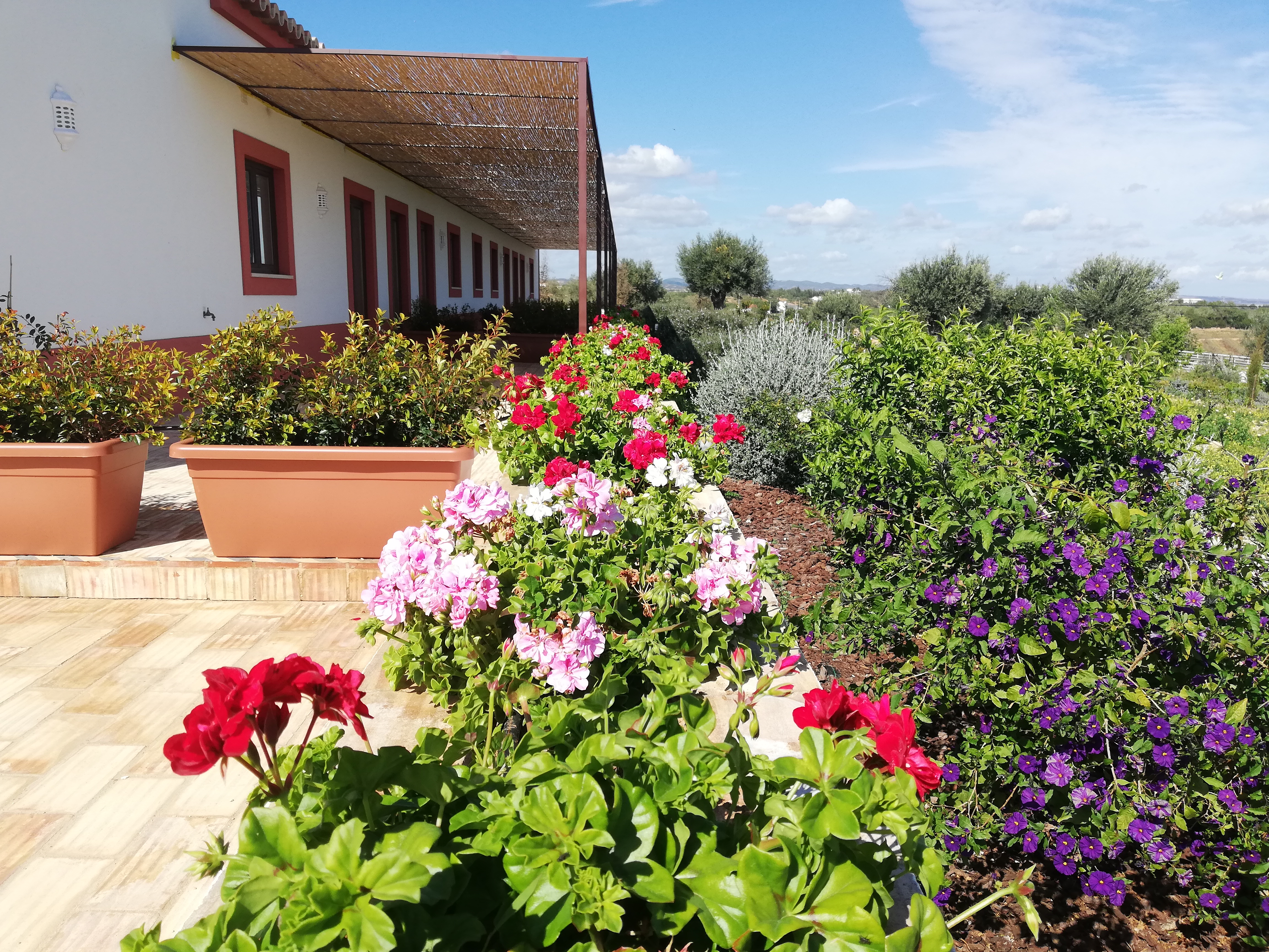 Quinta da Baleeira - Image 6